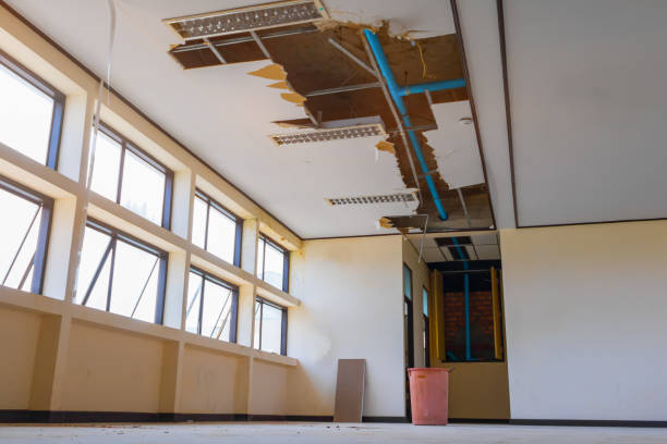 Best Flood damage cleanup  in Sherwood, WI