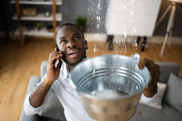Best Basement water damage restoration  in Sherwood, WI