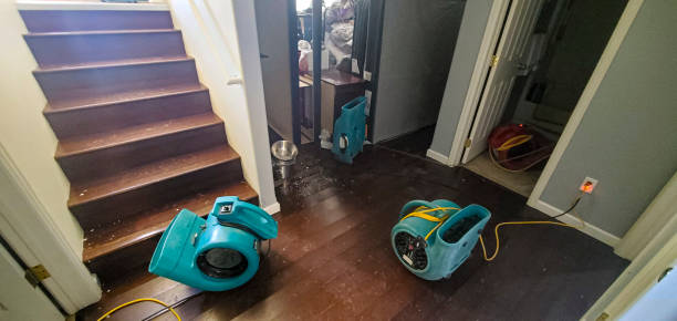 Best Sewage cleanup and water damage restoration  in Sherwood, WI