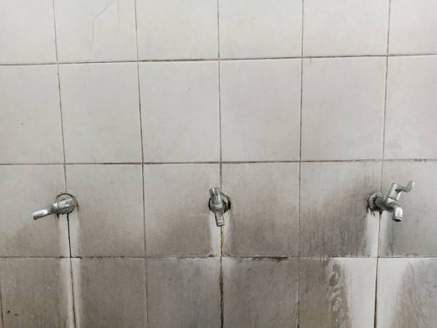 Best Flood damage cleanup  in Sherwood, WI