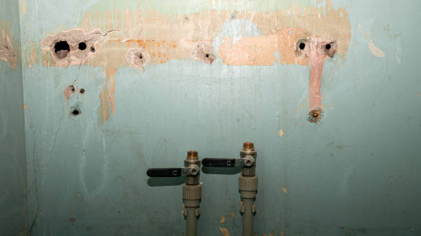 Best Flooded house restoration  in Sherwood, WI